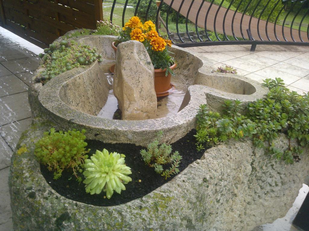 Nautilus Etterem Es Panzio Guest house