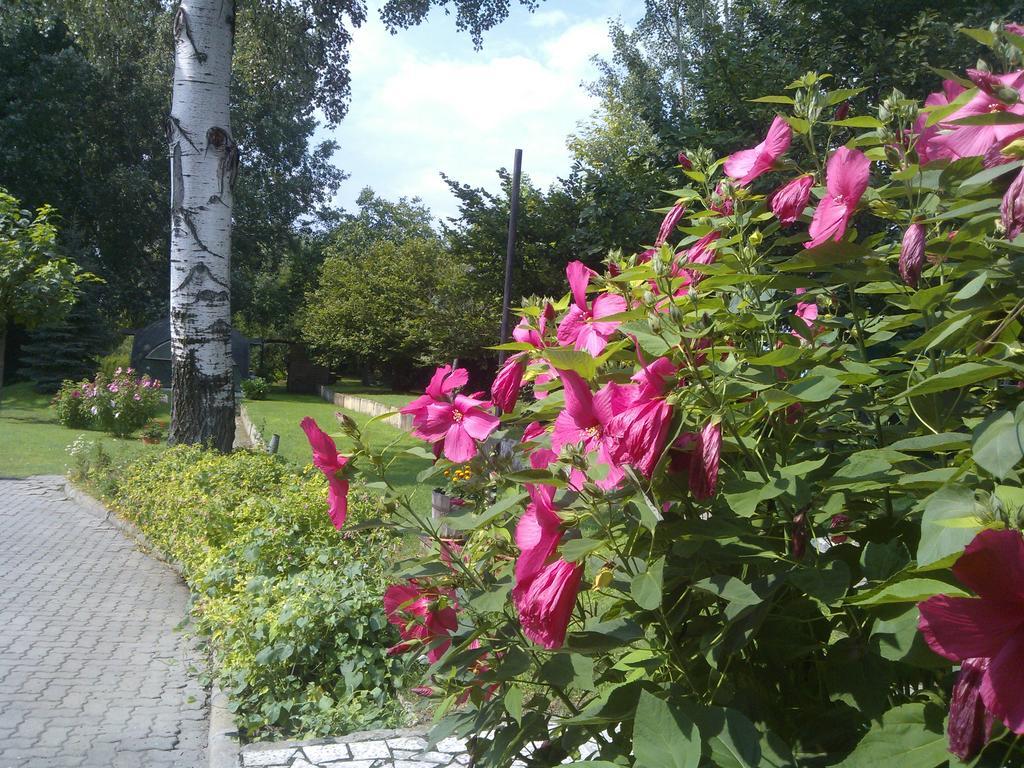 Guest house Nautilus Etterem Es Panzio Dabas